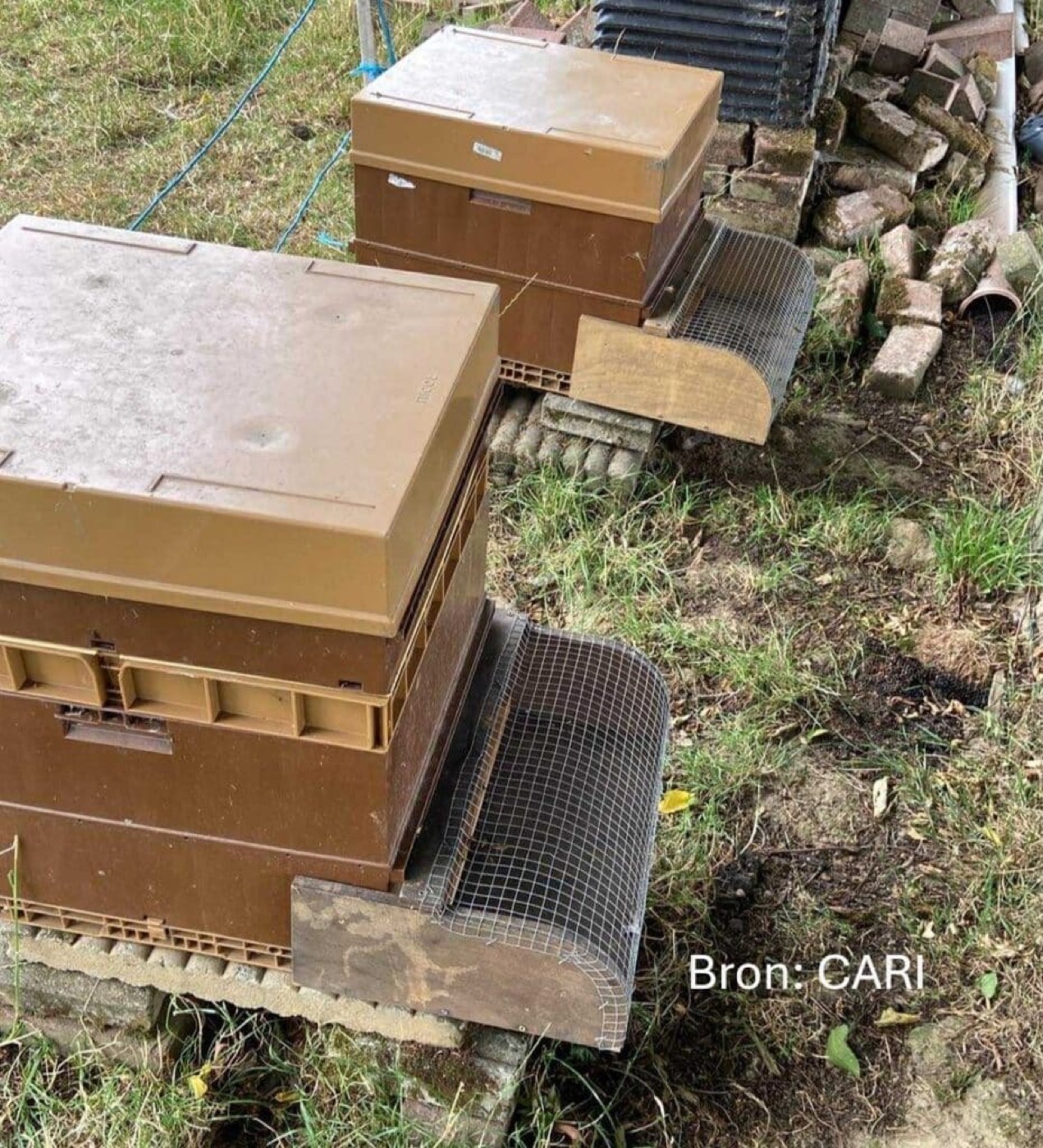 Muilkorf van fijn gaas gemonteerd voor de vliegopening van een bijenkast