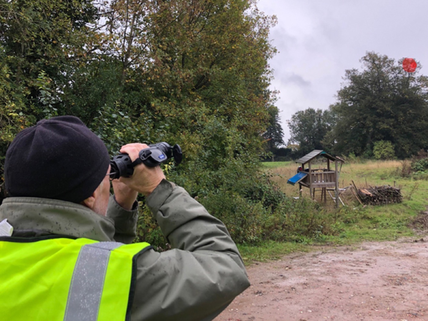 Thermisch beeld van een hoornaarnest op 80 meter afstand, in Oudenaarde